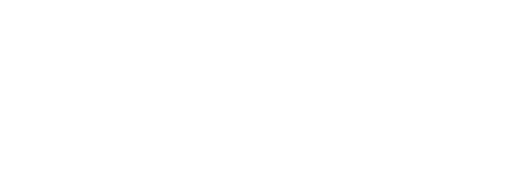 twnic
